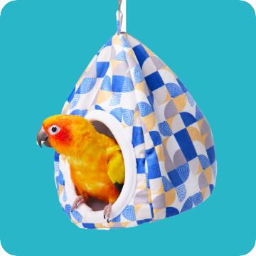 Bird in a small house